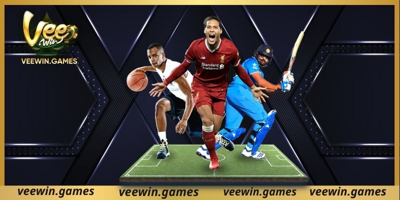 คุณสมบัติหลักของการเดิมพันฟุตบอล VEEWIN